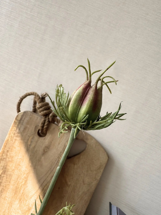 Kunstgroen Nigella knop