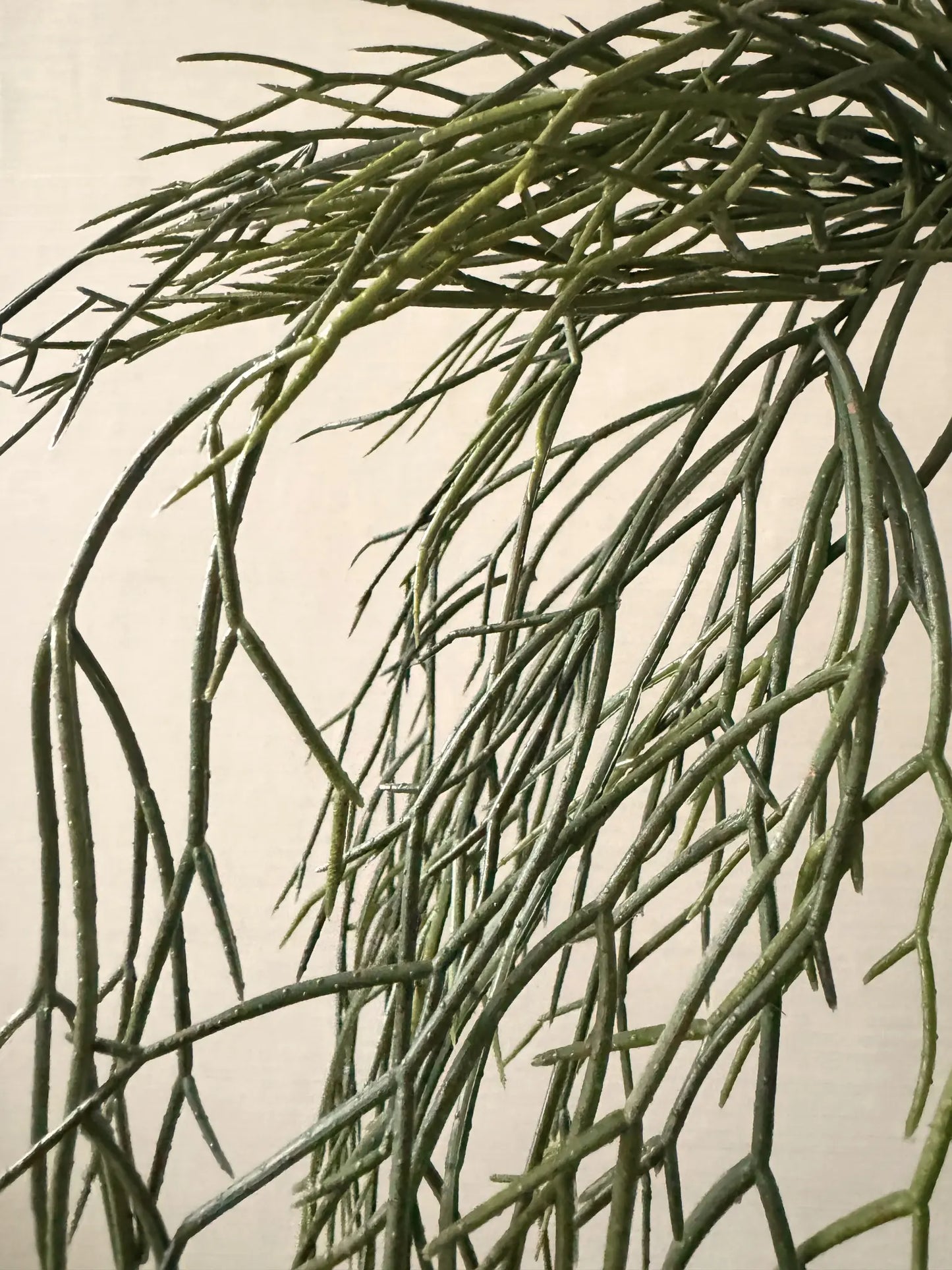 Kunstgroen hangplant rhipsalis