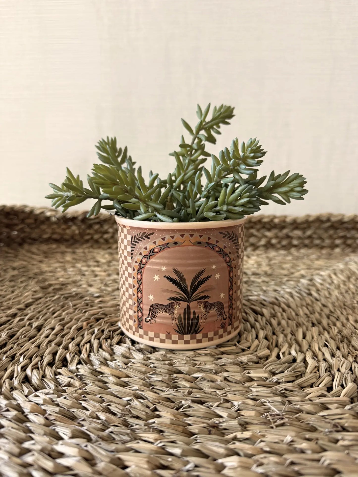 Aardewerk pot palm tijger