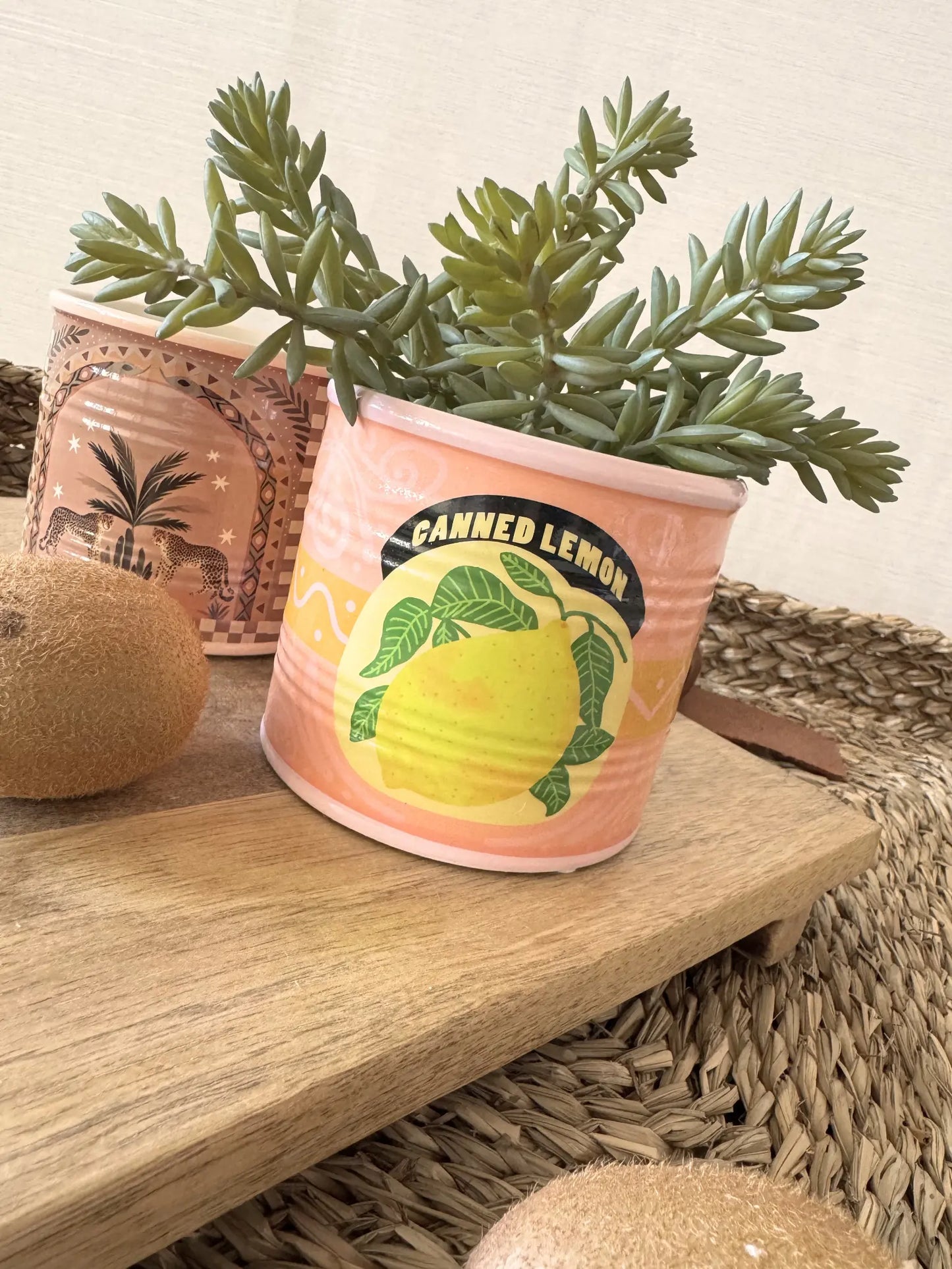 Aardewerk pot palm tijger