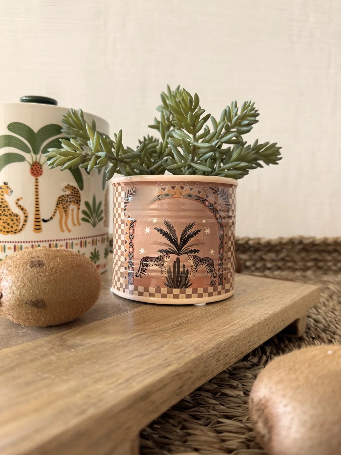 Aardewerk pot palm tijger