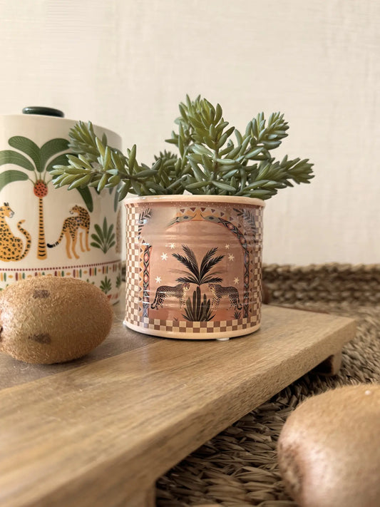 Aardewerk pot palm tijger