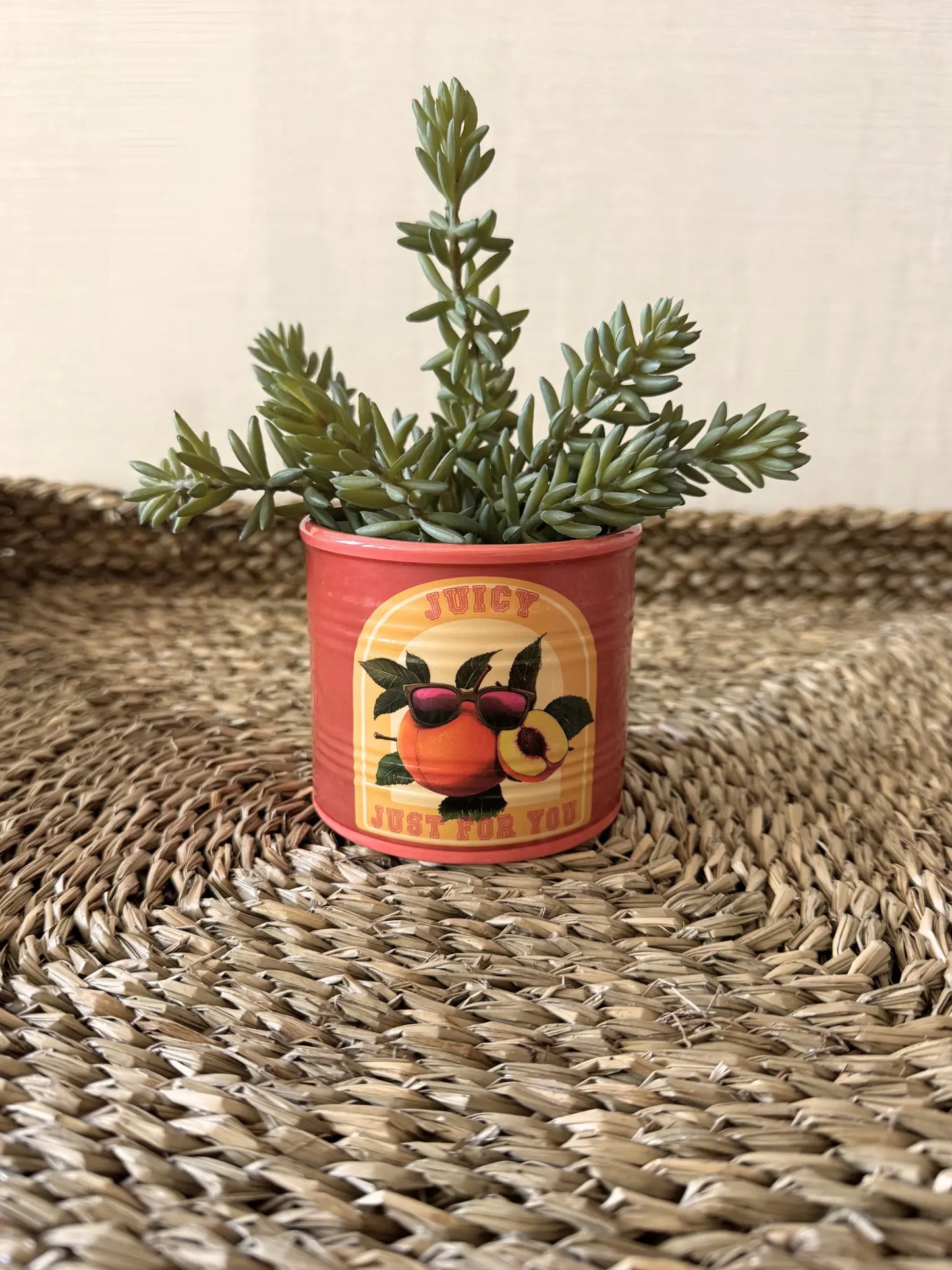 Aardewerk pot perzik