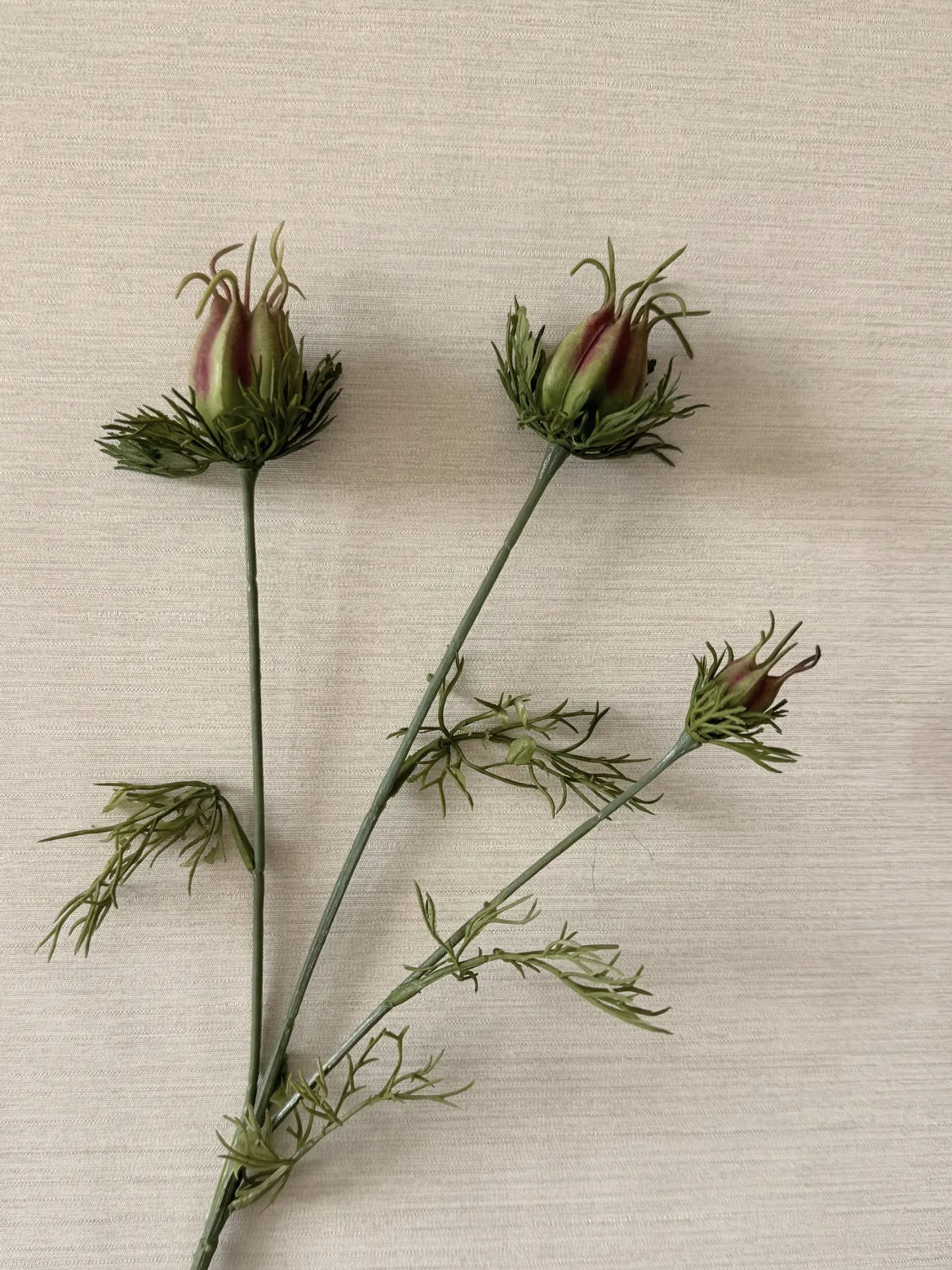 Kunstgroen Nigella knop