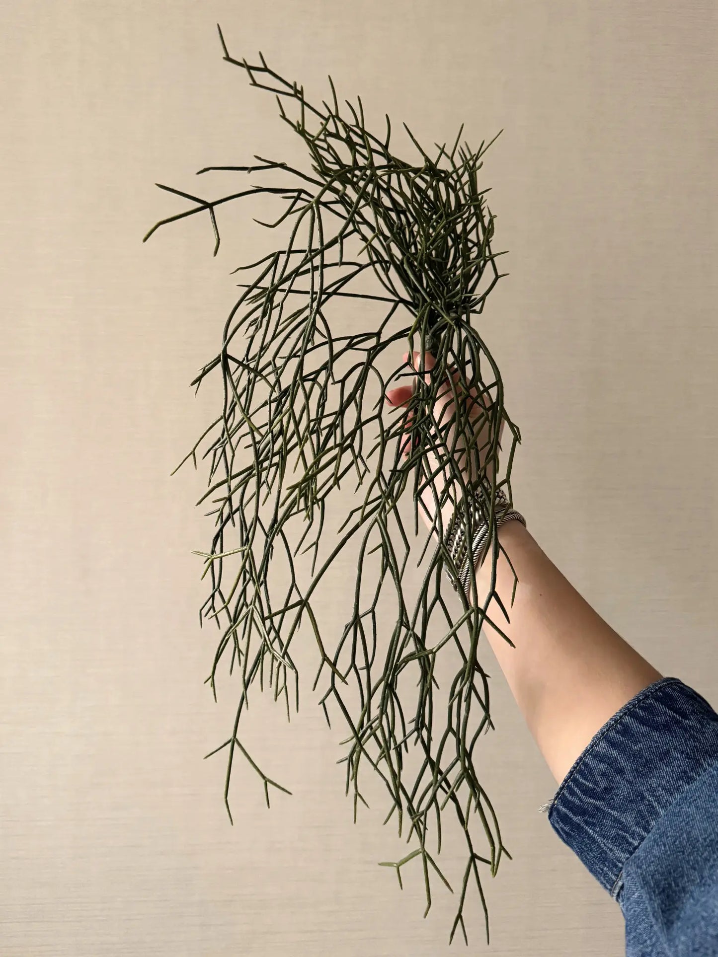 Kunstgroen hangplant rhipsalis