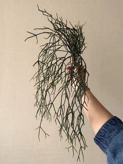 Kunstgroen hangplant rhipsalis