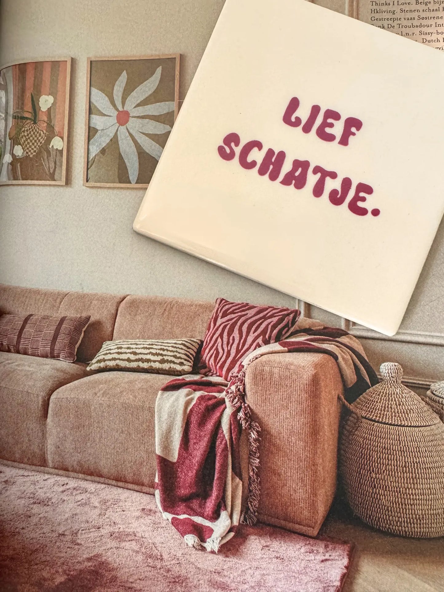 Tegeltje - Lief schatje