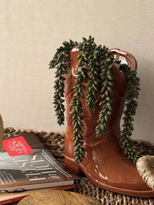 Vaas cowboylaars bruin